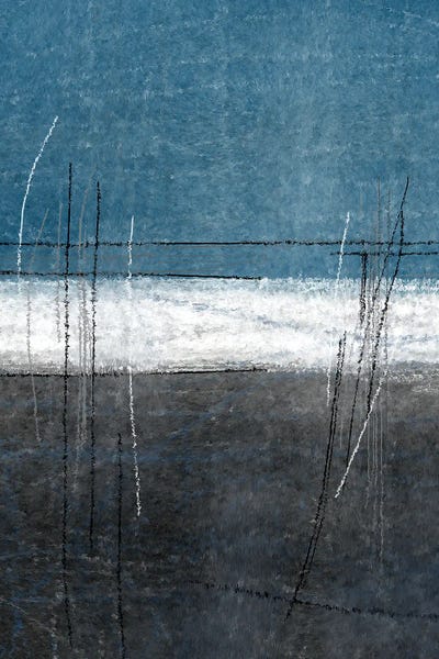 Grasses: Blue Gray Grass by Incado