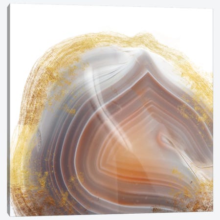Cipollini Agate Canvas Print #INF3} by 5by5collective Art Print
