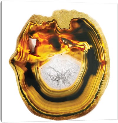 Smelted Amber Canvas Art Print - Agate, Geode & Mineral Art