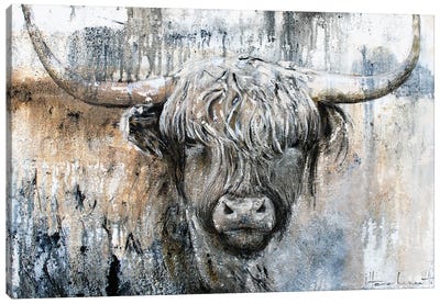 Highland Cow II Canvas Art Print - Farm Animal Art