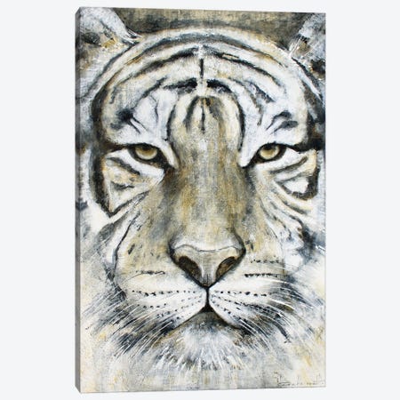 Tiger Focus Canvas Print #INH27} by Studio Paint-Ing Canvas Wall Art