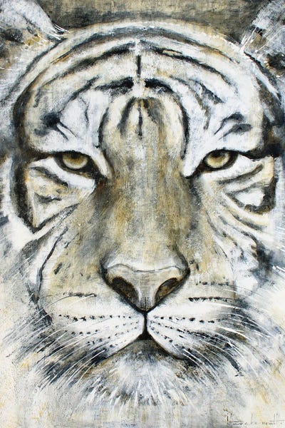 Tiger Focus