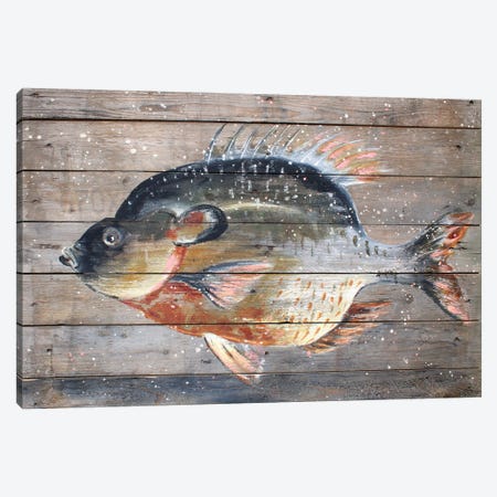 Catch Of The Day Canvas Print #INH42} by Studio Paint-Ing Art Print