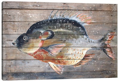 Catch Of The Day Canvas Art Print - Studio Paint-Ing