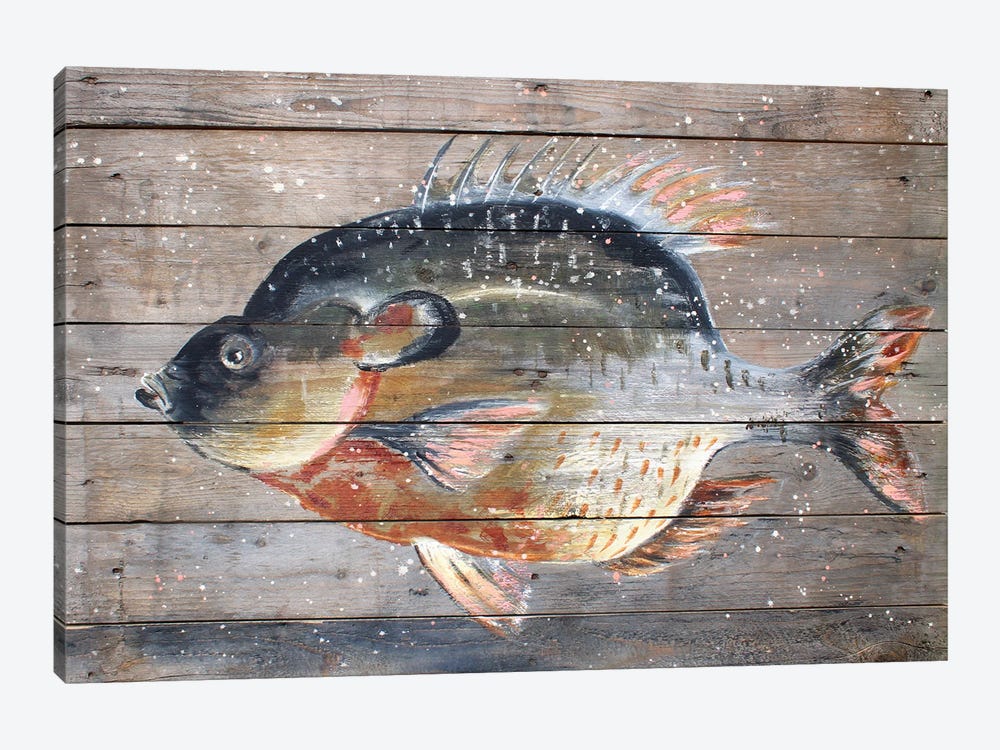 Catch Of The Day by Studio Paint-Ing 1-piece Art Print