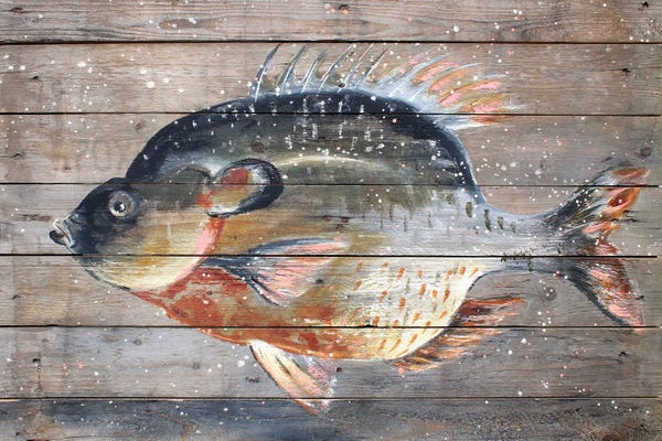 Lakehouse Décor: Catch Of The Day by Studio Paint-Ing
