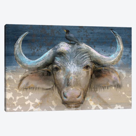 Buffel And Bird Canvas Print #INH81} by Studio Paint-Ing Canvas Print