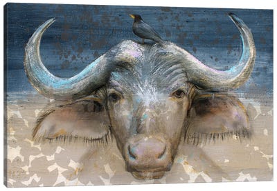 Buffel And Bird Canvas Art Print - Studio Paint-Ing