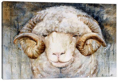 Sheep Canvas Art Print - Rams