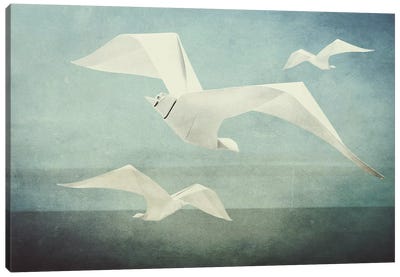 Seagulls Canvas Art Print - Inkycubans