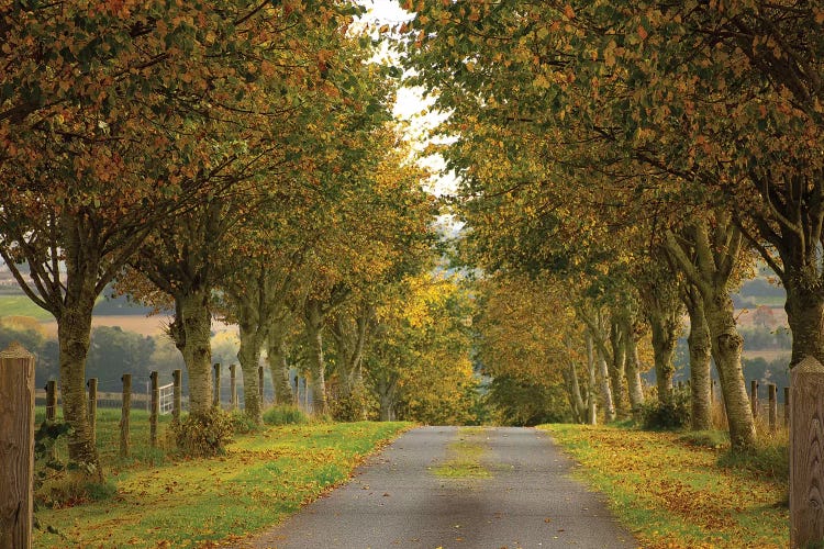 Colors Of Autumn