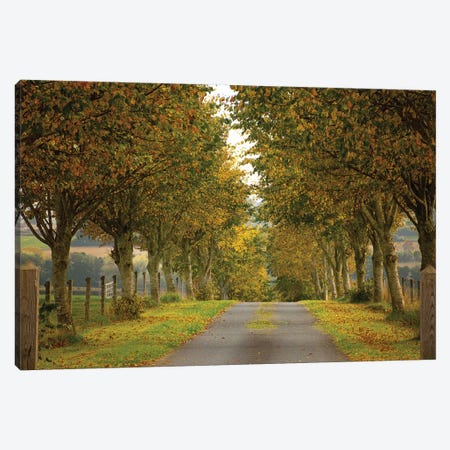 Colors Of Autumn Canvas Print #INO2} by Adelino Goncalves Canvas Art