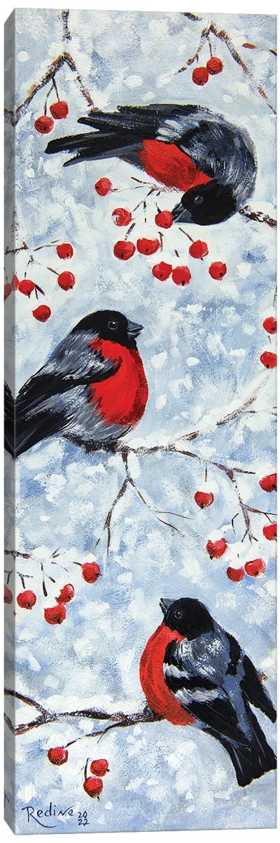 Bullfinches In Winter Canvas Art Print - Finch Art