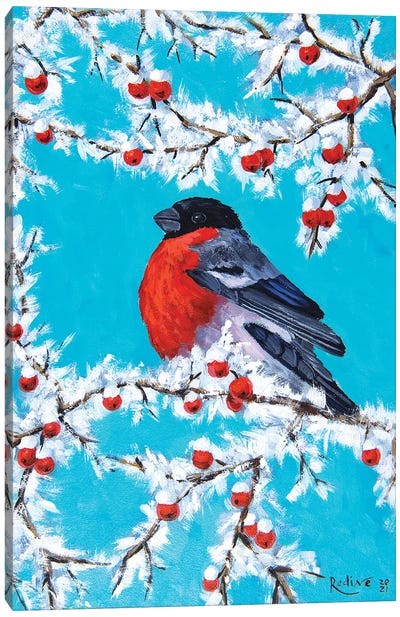 Bullfinch On A Frosty Winter Day Canvas Art Print - Finch Art