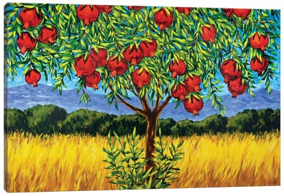 Pomegranate Tree Canvas Art Print - Pomegranate Art