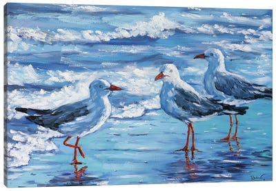 Seagulls Canvas Art Print - Gull & Seagull Art