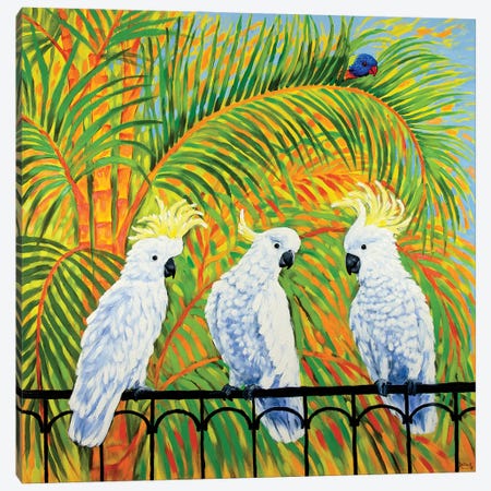 How Rumours Spread - Cockatoos And Rainbow Lorikeet Canvas Print #INR24} by Irina Redine Canvas Art
