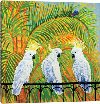 How Rumours Spread - Cockatoos And Rainbow Lorikeet Canvas Art Print - Irina Redine