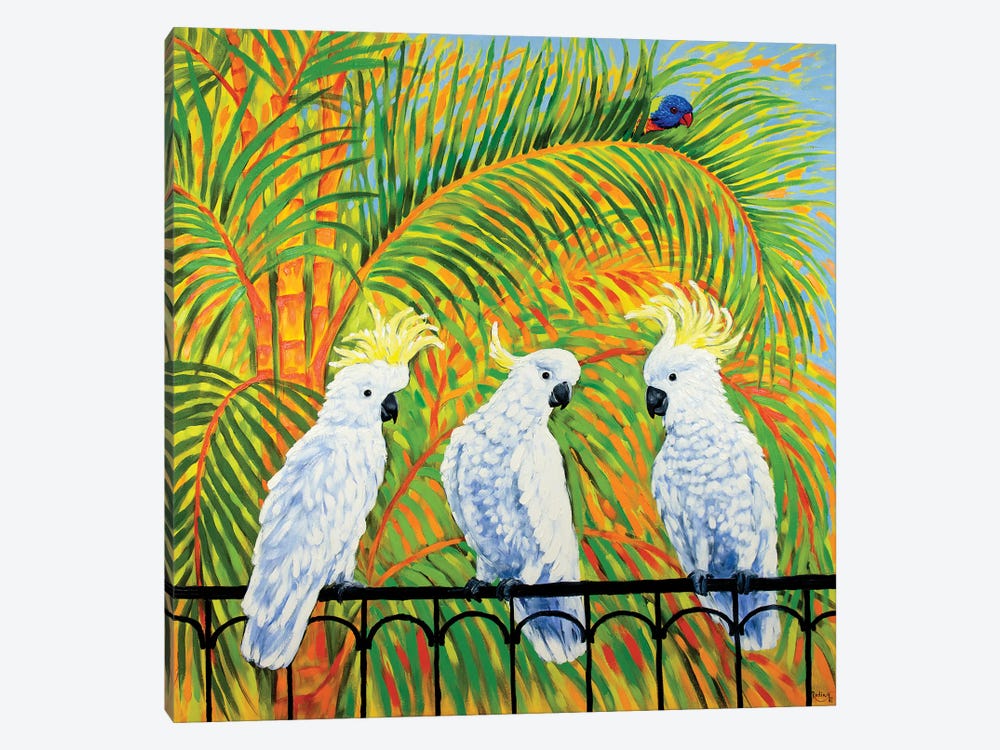 How Rumours Spread - Cockatoos And Rainbow Lorikeet by Irina Redine 1-piece Canvas Artwork
