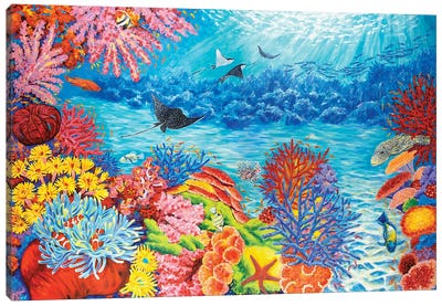 Coral Reef Life Canvas Art Print - Ray & Stingray Art