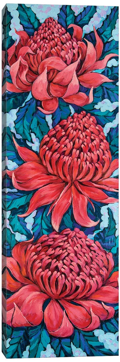 Waratah Flowers Canvas Art Print - Irina Redine