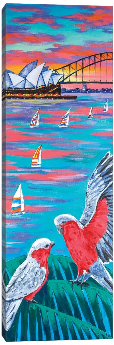 Sydney Harbour And Galah Cockatoos Canvas Art Print - New South Wales Art