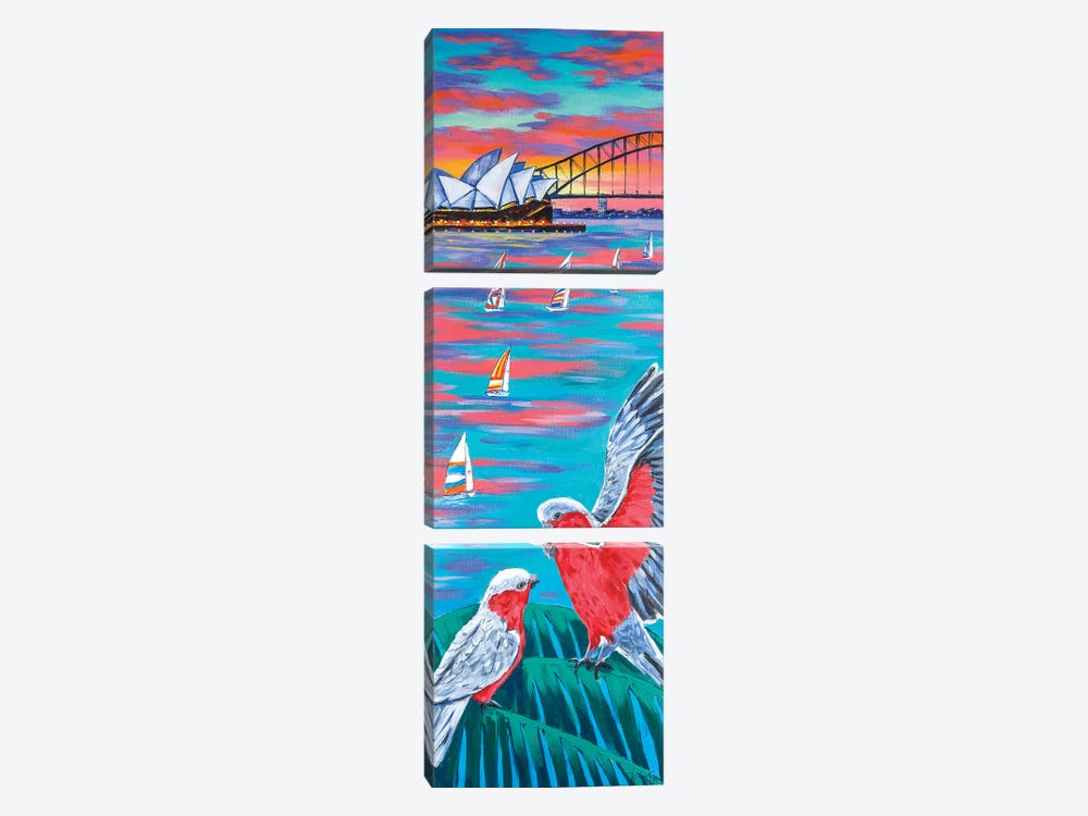 Sydney Harbour And Galah Cockatoos by Irina Redine 3-piece Canvas Art Print