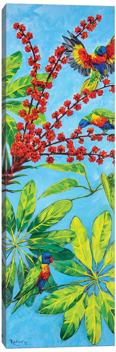 Rainbow Lorikeets And Australian Umbrella Tree Canvas Art Print - Irina Redine