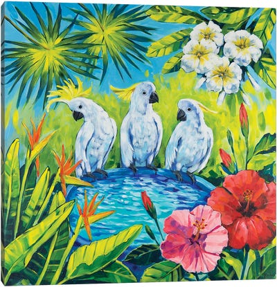 Oasis Canvas Art Print - Cockatoo Art