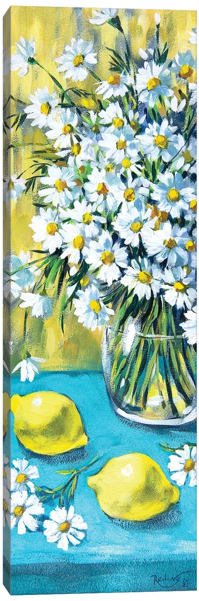 Daisies And Lemons Canvas Art Print - Irina Redine