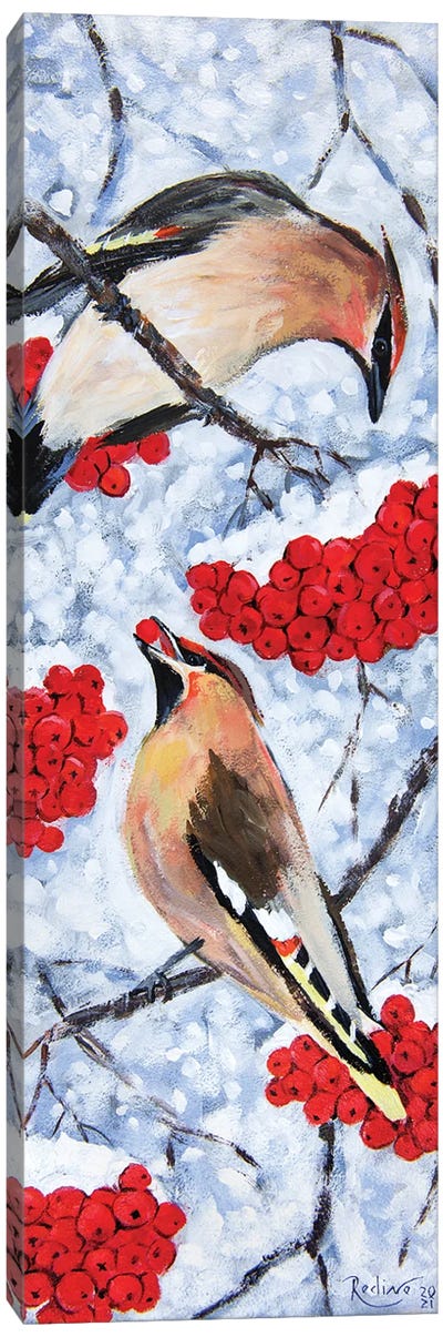 Waxing Birds In Winter Canvas Art Print - Irina Redine