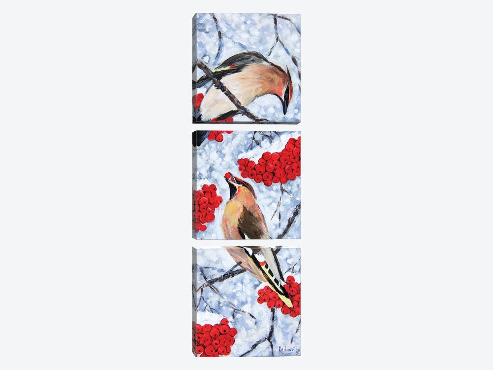 Waxing Birds In Winter by Irina Redine 3-piece Canvas Wall Art