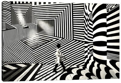 Pattern Walk II Canvas Art Print - Black & White Patterns