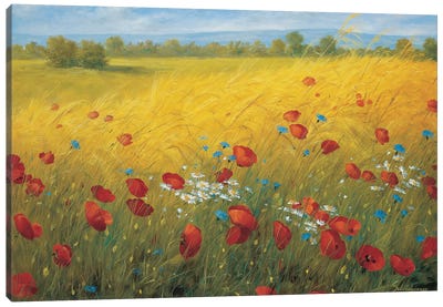 Sparkling Field I Canvas Art Print