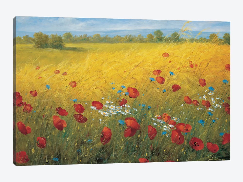 Sparkling Field I by Heinz Scholnhammer 1-piece Canvas Print