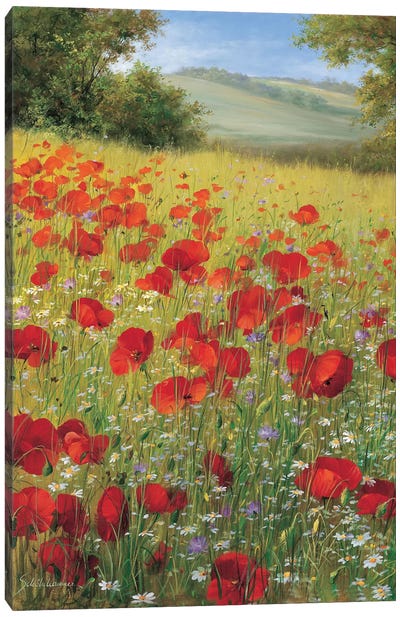Sparkling Field II Canvas Art Print - Wildflowers