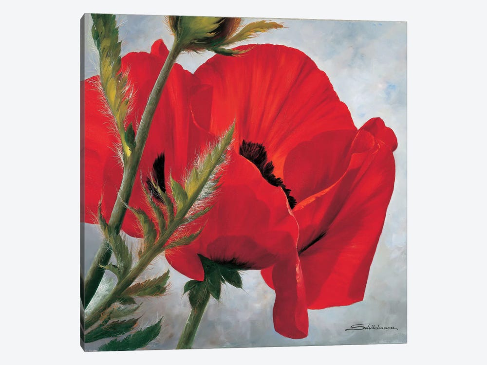 The Red Poppy by Heinz Scholnhammer 1-piece Canvas Art Print