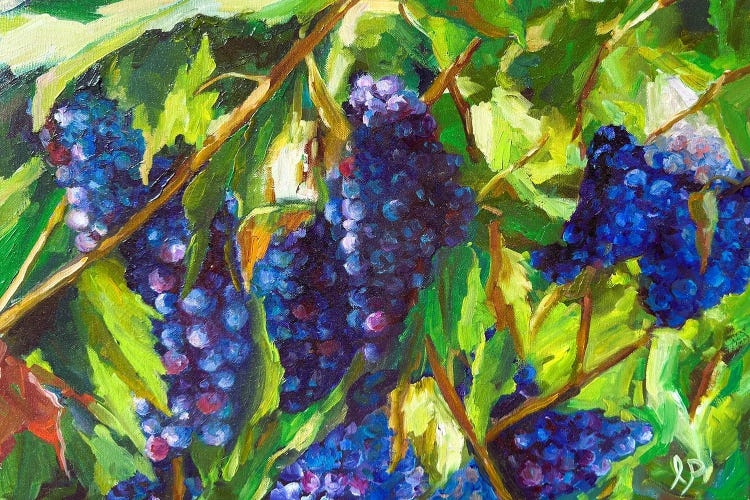 Pinot Noir by Irene Pomirchy wall art