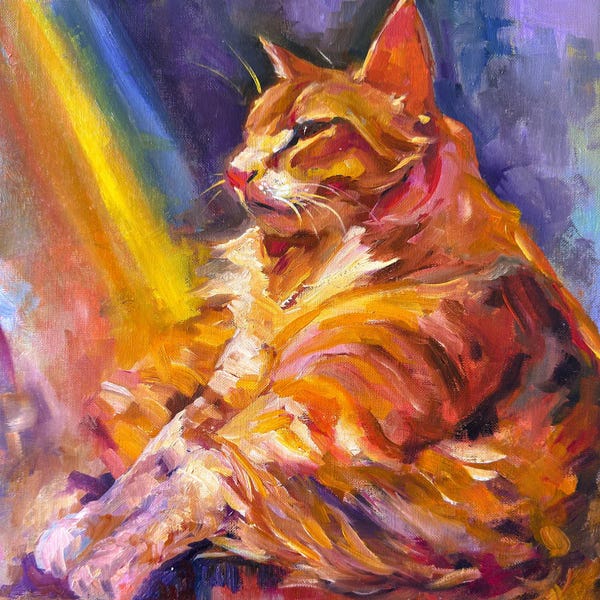 Rainbow Cat
