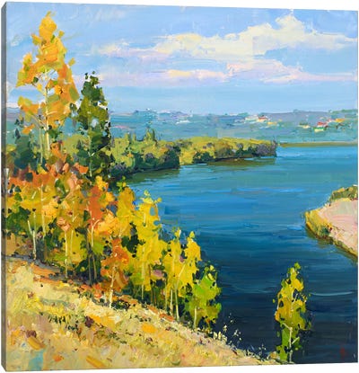 Volga River. Russia Canvas Art Print - Igor Pozdeev