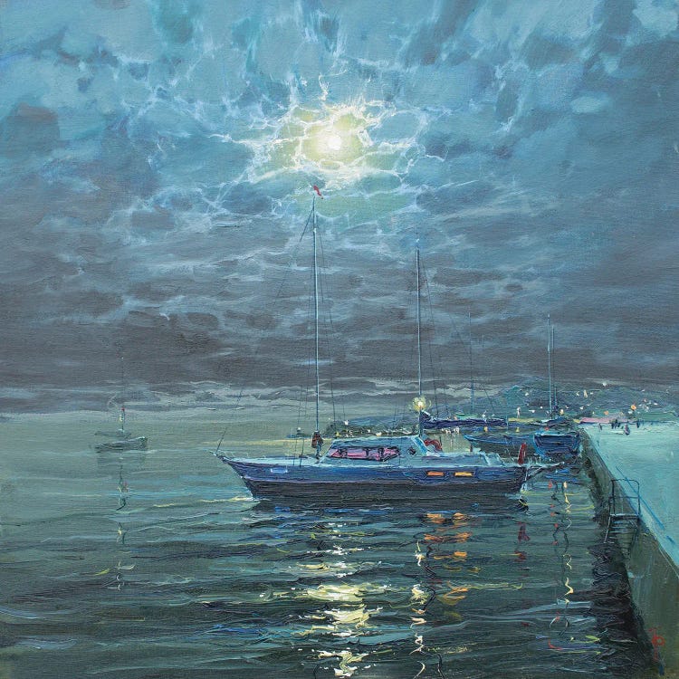 Yacht Overnight Moorage by Igor Pozdeev wall art