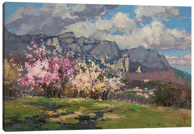 Flowered Almond Trees Canvas Art Print - Igor Pozdeev