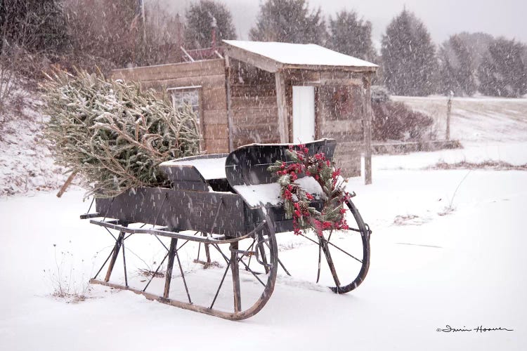 Grandpa's Sleigh