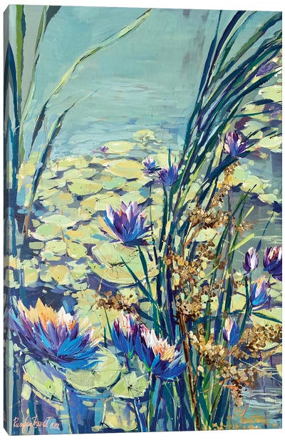 Flowering Water Lillies Canvas Art Print - Irina Rumyantseva