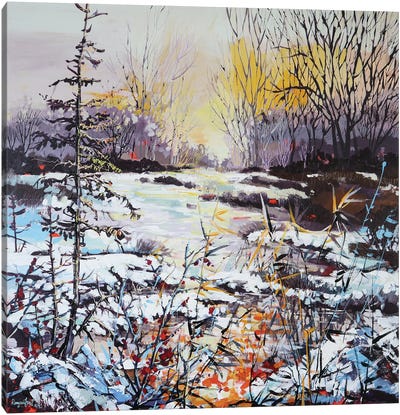 Sunrise On The River Canvas Art Print - Irina Rumyantseva