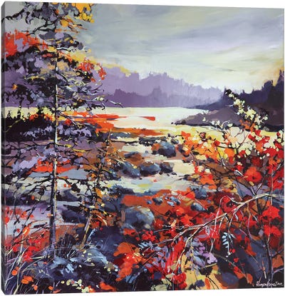 Countryside Lake View - Jasper National Park, Alberta Canvas Art Print - Irina Rumyantseva