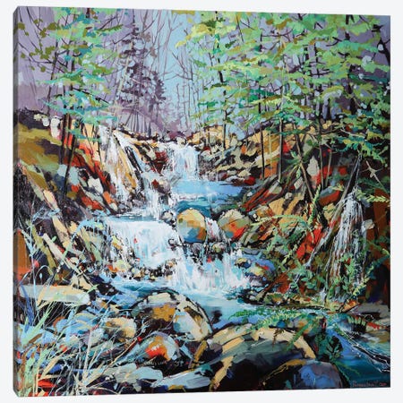 River Falls Canvas Print #IRM39} by Irina Rumyantseva Canvas Artwork