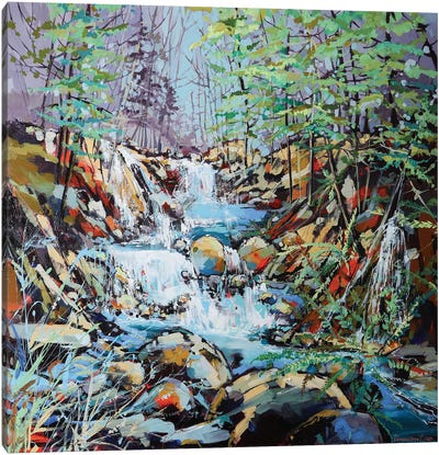 River Falls Canvas Art Print - Irina Rumyantseva