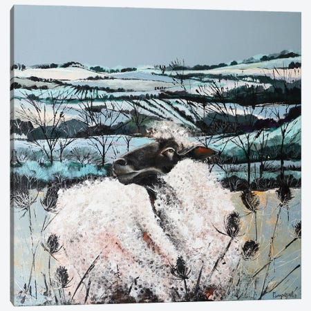 Sheep In The Countryside Canvas Print #IRM41} by Irina Rumyantseva Canvas Art Print