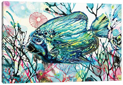 Tropical Fish Canvas Art Print - Irina Rumyantseva